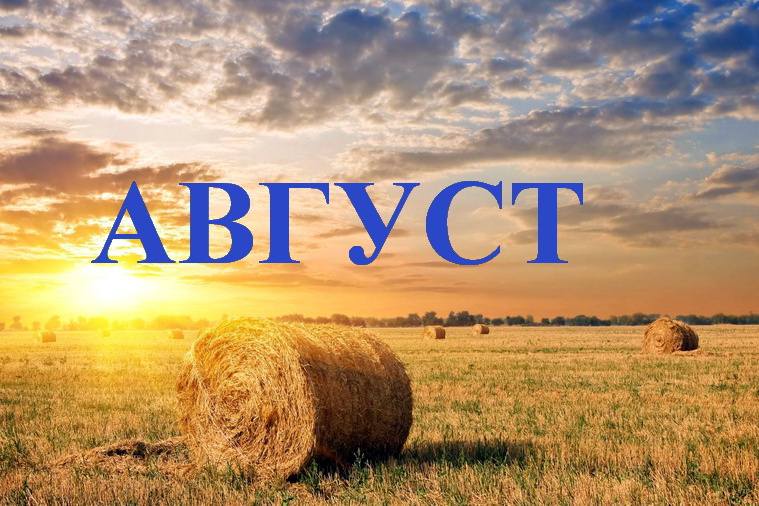 Что изменится в жизни россиян с августа 2026 года