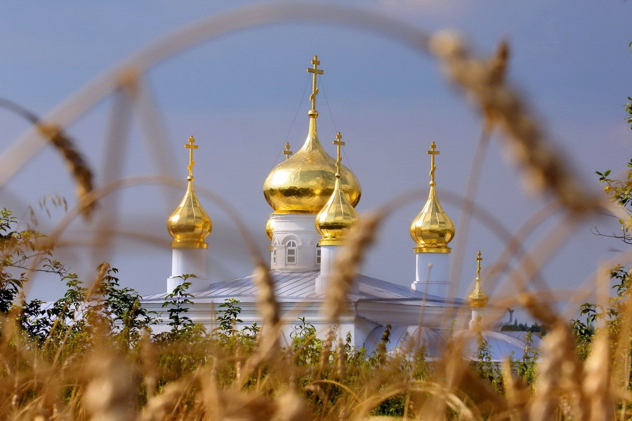 В России уменьшилась доля православных граждан