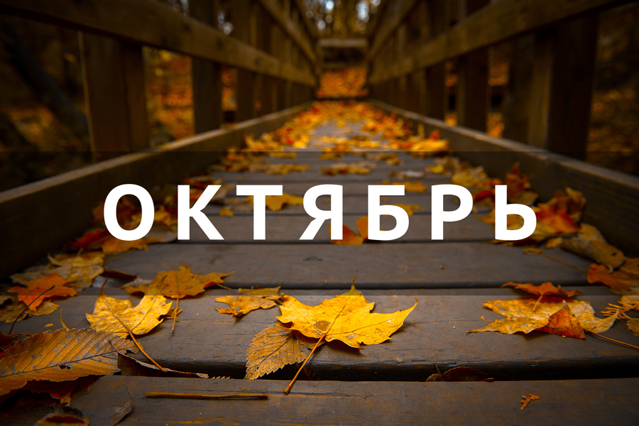 Что ожидает россиян в октябре