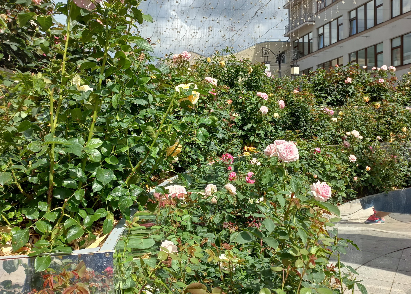 #