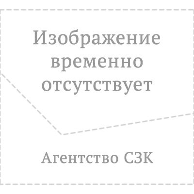 Николай Ветров, Агентство СЗК